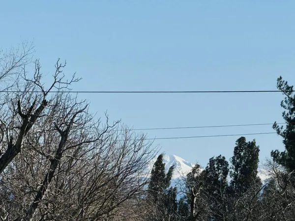 a view of outside space and swimming pool