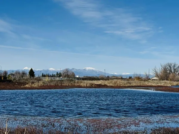 a view of a lake and green valley