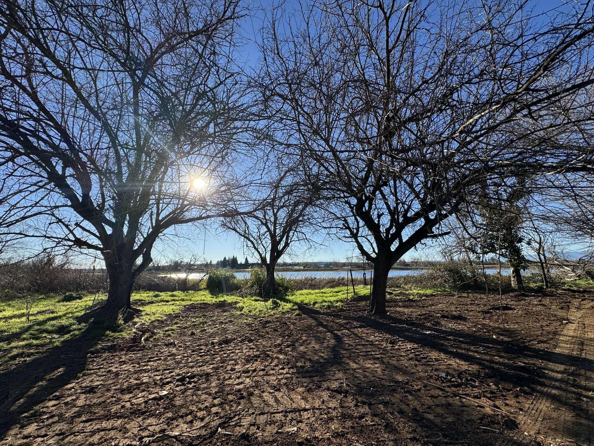 22148 Lone Tree Road Anderson, CA 96007 - Photo 8 of 20 141414