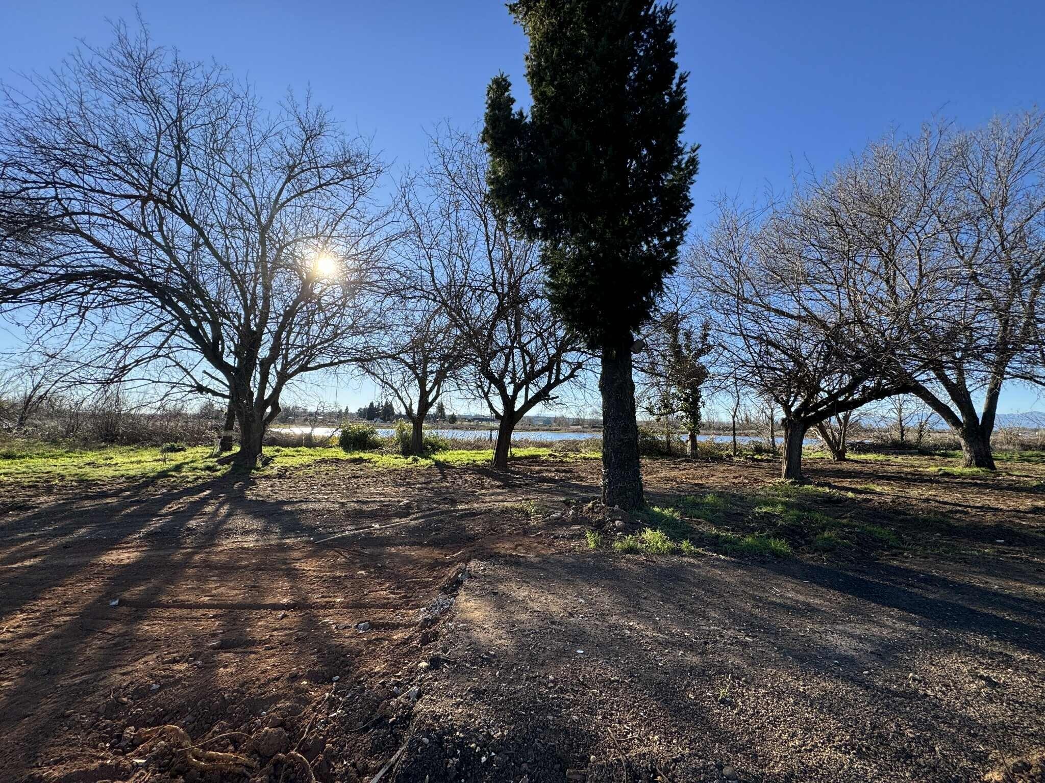 22148 Lone Tree Road Anderson, CA 96007 - Photo 9 of 20 151515