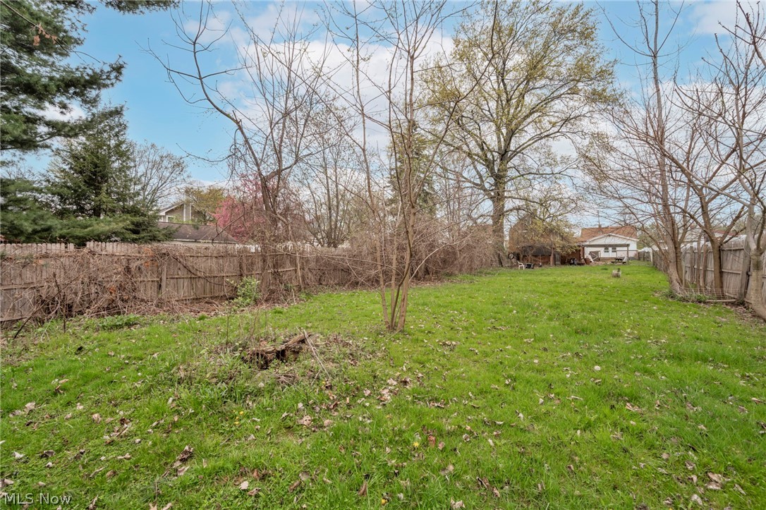 1011 Spring Road Cleveland, OH 44109 - Photo 43 of 47 View of yard