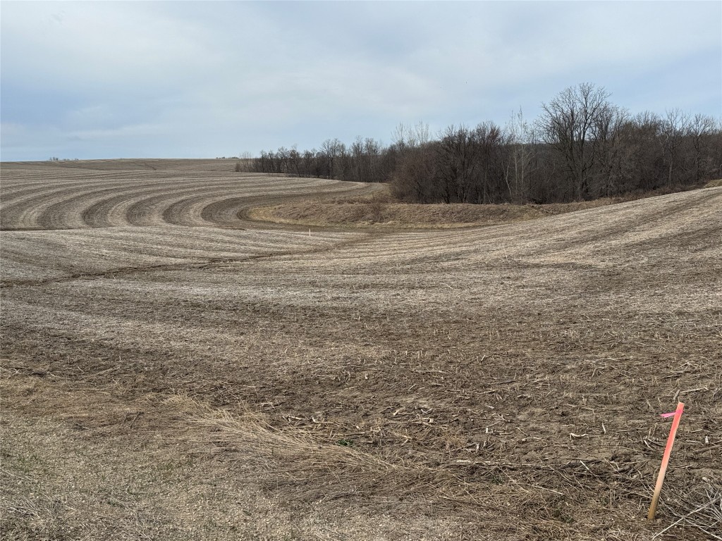 Tbd County Road East Stockholm, WI 54769 - Photo 12 of 16
