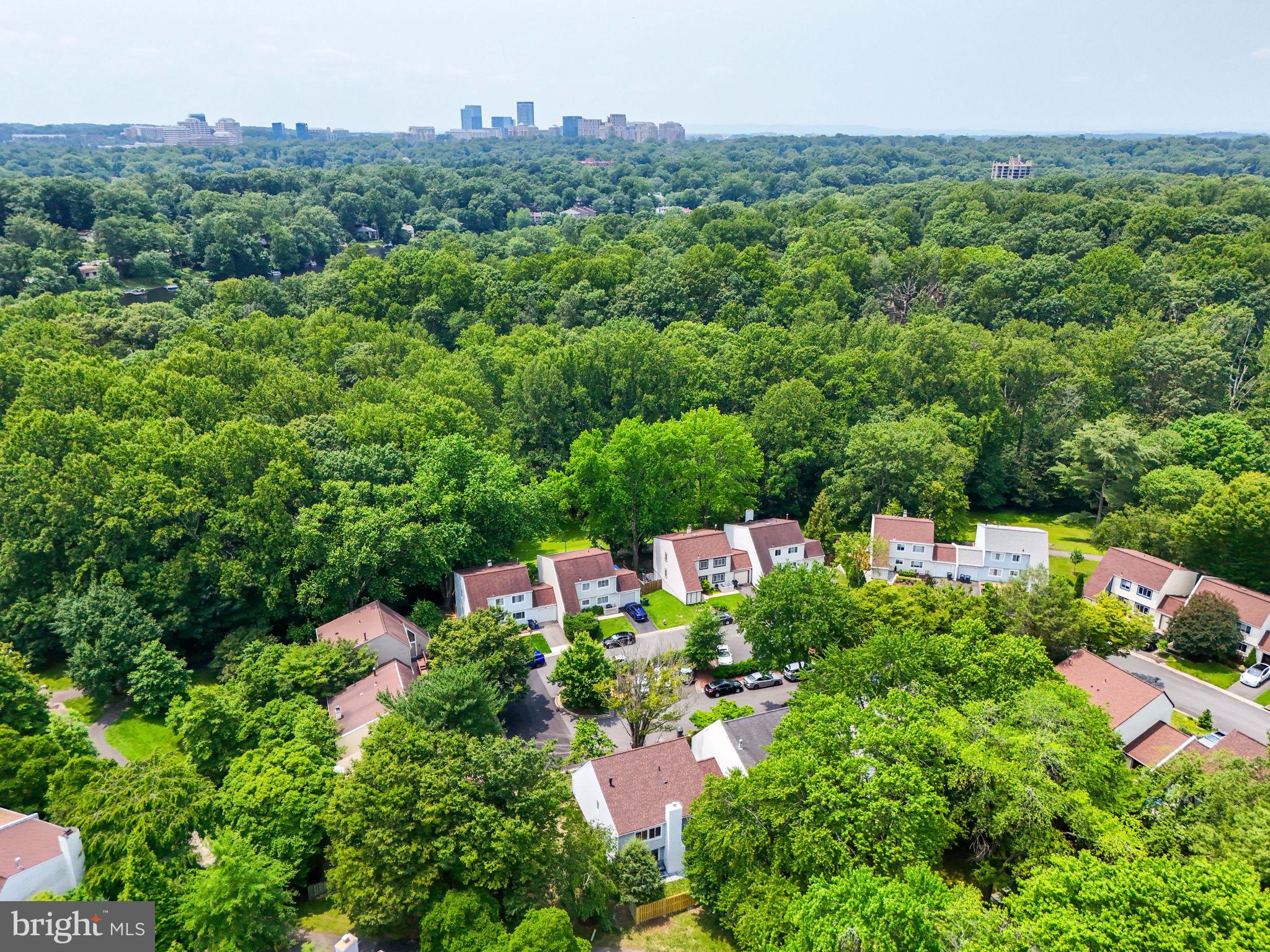 1496 Roundleaf Court Reston, VA 20190 - Photo 50 of 53 Gallery Image 50