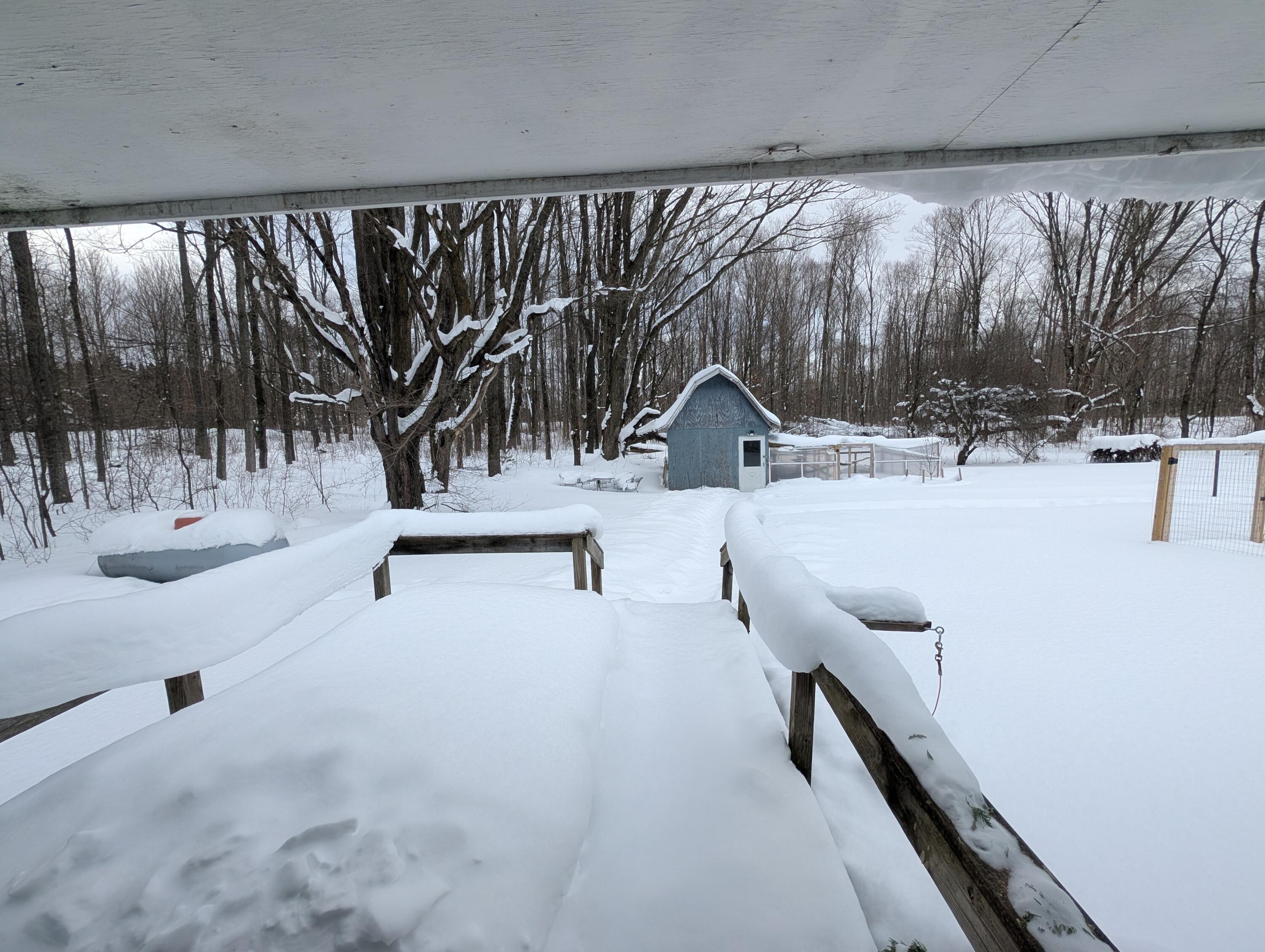 5545 South 25 Road Boon, MI 49618 - Photo 35 of 41 PXL_20260204_201906274