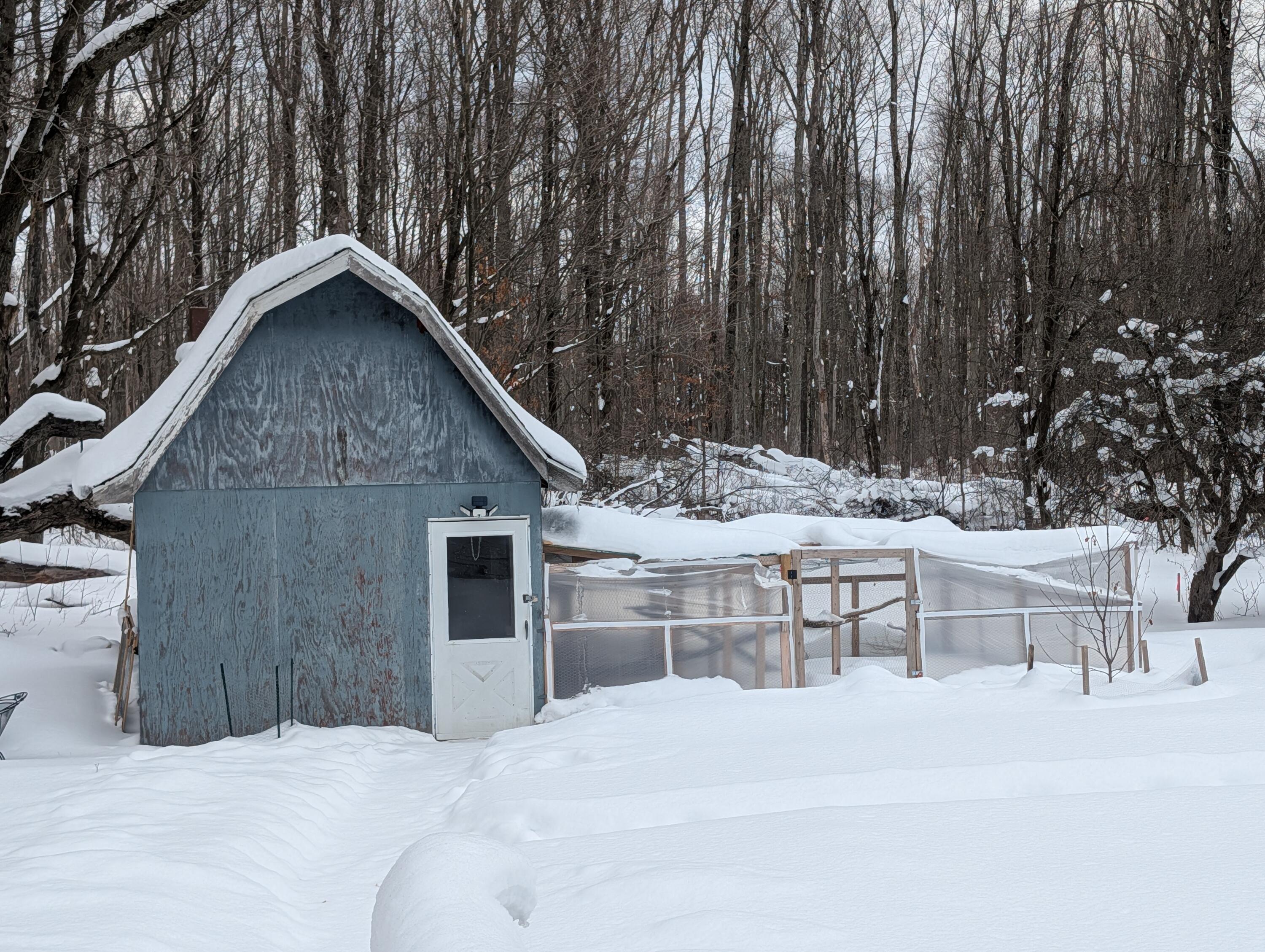5545 South 25 Road Boon, MI 49618 - Photo 36 of 41 PXL_20260204_201900041.MP