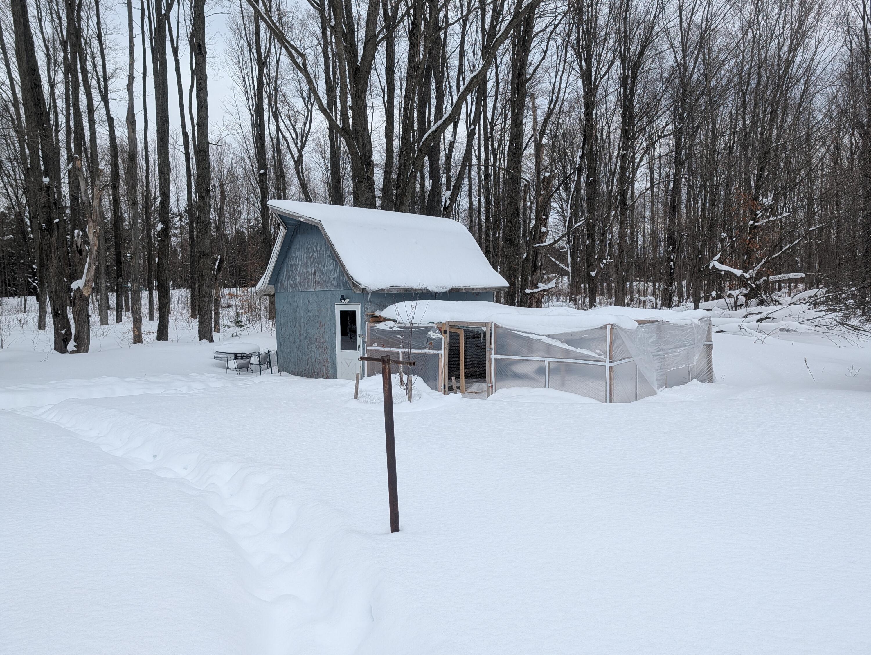 5545 South 25 Road Boon, MI 49618 - Photo 38 of 41 PXL_20260204_203136586