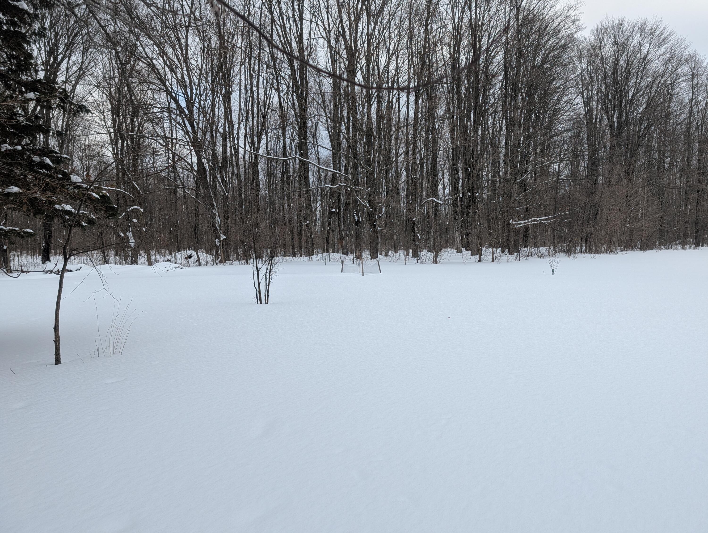 5545 South 25 Road Boon, MI 49618 - Photo 41 of 41 PXL_20260204_203555250