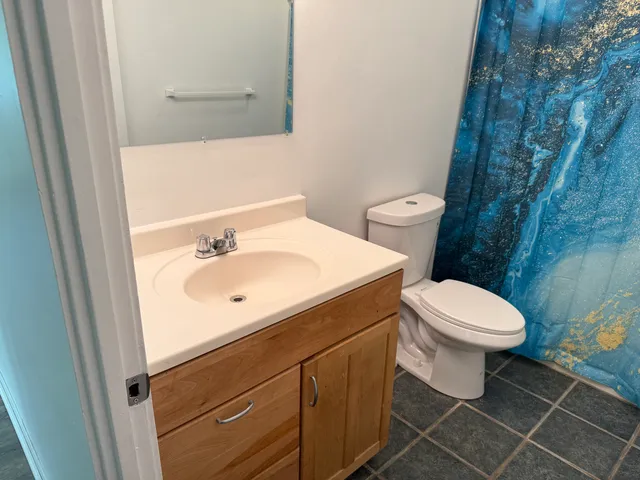 a bathroom with a sink a toilet and a mirror