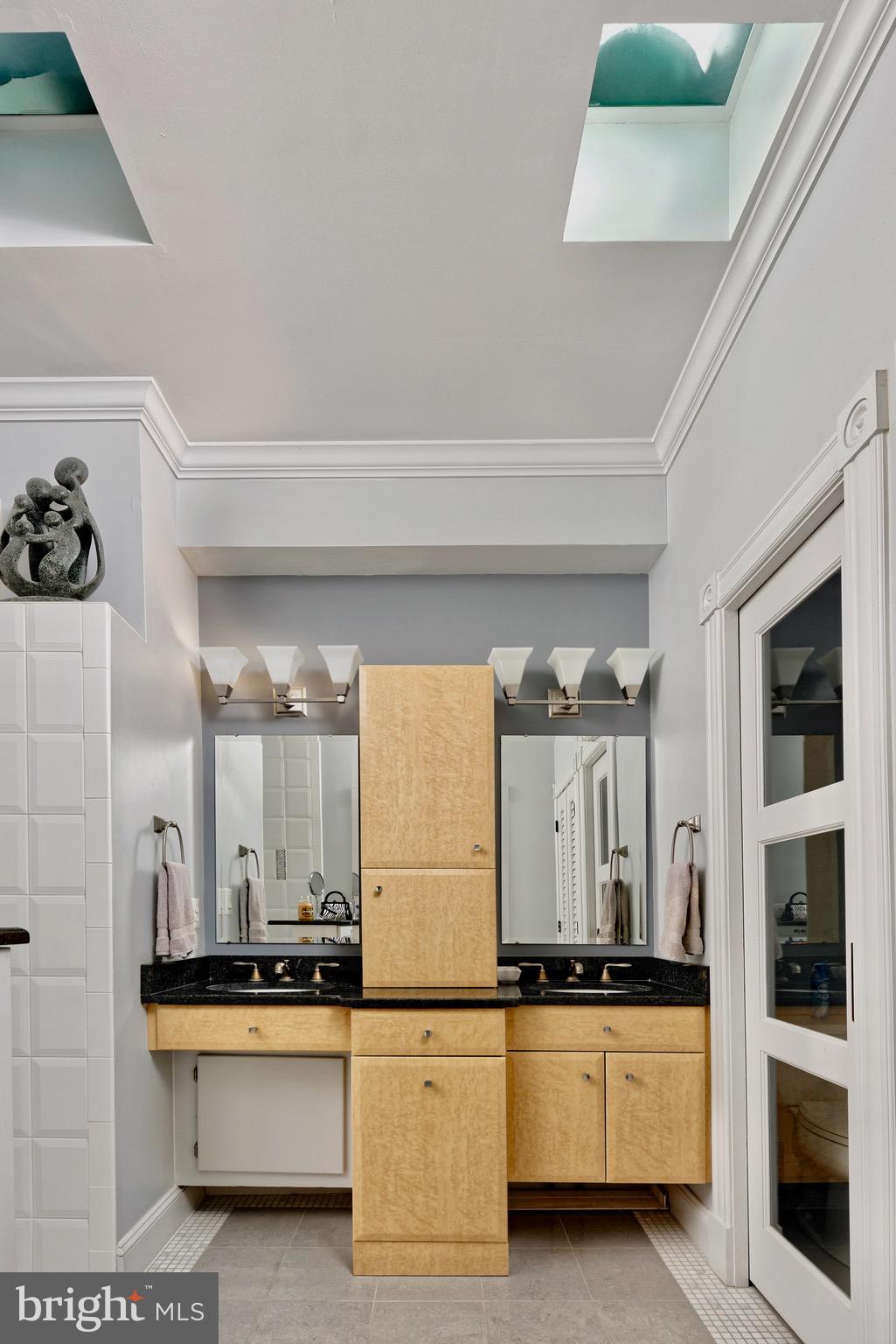 633 A Street Southeast Washington, DC 20003 - Photo 51 of 91 Primary bath with spectacular skylights