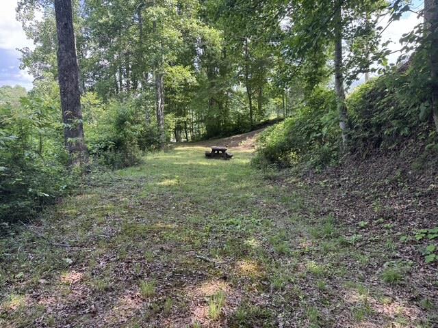 1131 Ada Street Blue Ridge, GA 30513 - Photo 8 of 22