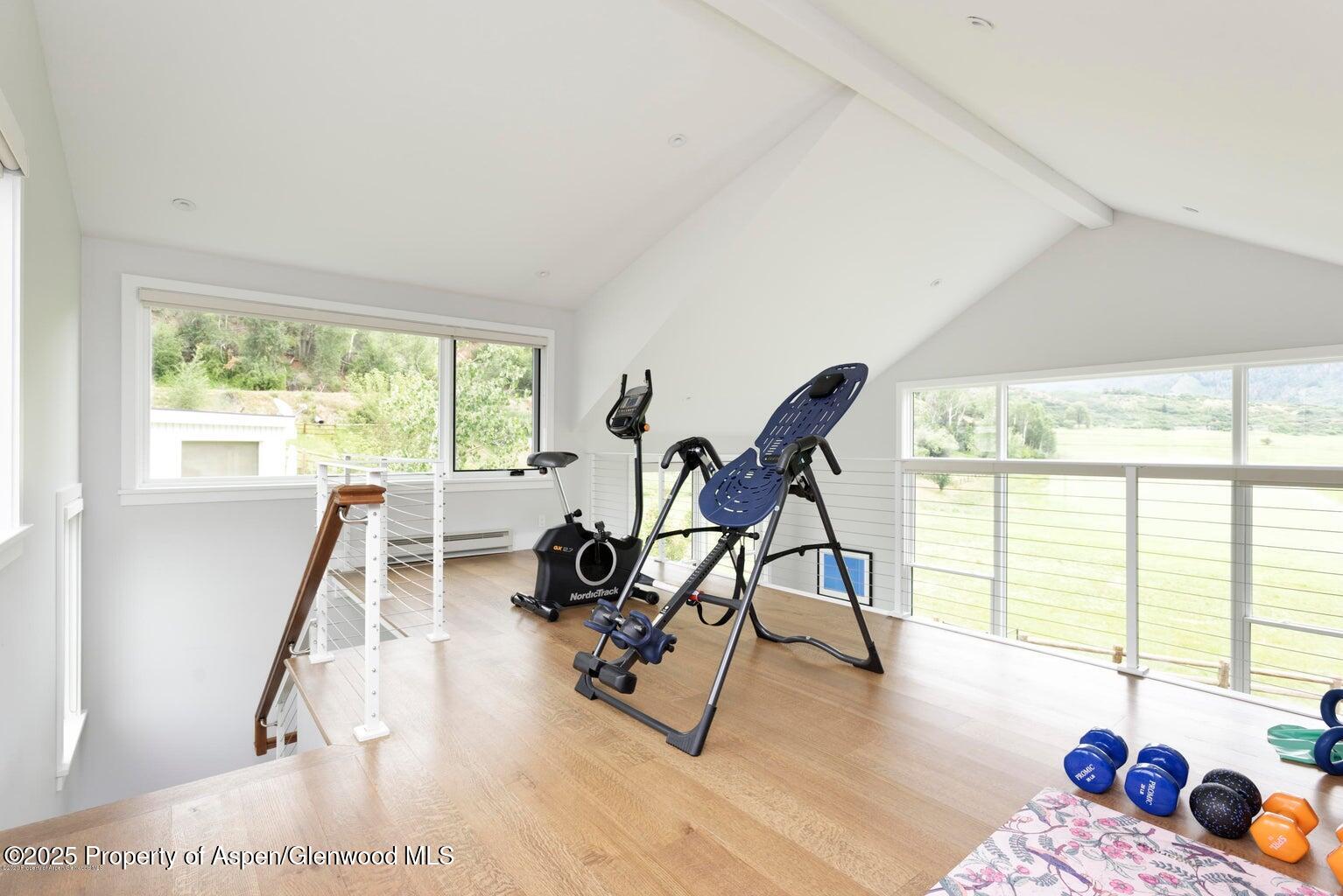 1814 Woody Creek Road Aspen, CO 81612 - Photo 43 of 52 a view of a room with gym equipment