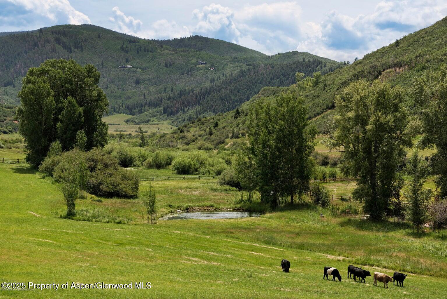 1814 Woody Creek Road Aspen, CO 81612 - Photo 10 of 52 a view of a grassy area with an trees