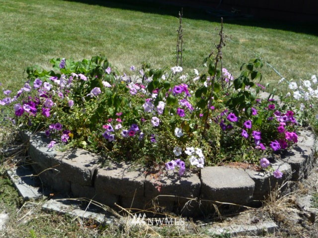 310 North Earl Road Moses Lake, WA 98837 - Photo 19 of 20 Gallery Image 19