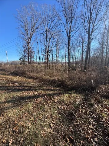 $50,000 | 0 New Bowers Road, Lexington, NC 27292