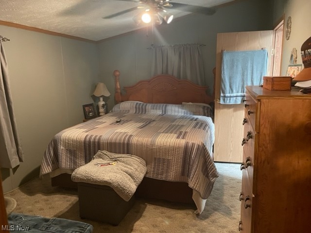 4534 Lake Road East, Unit 41 Geneva, OH 44041 - Photo 8 of 16 Carpeted bedroom with ceiling fan and a textured ceiling