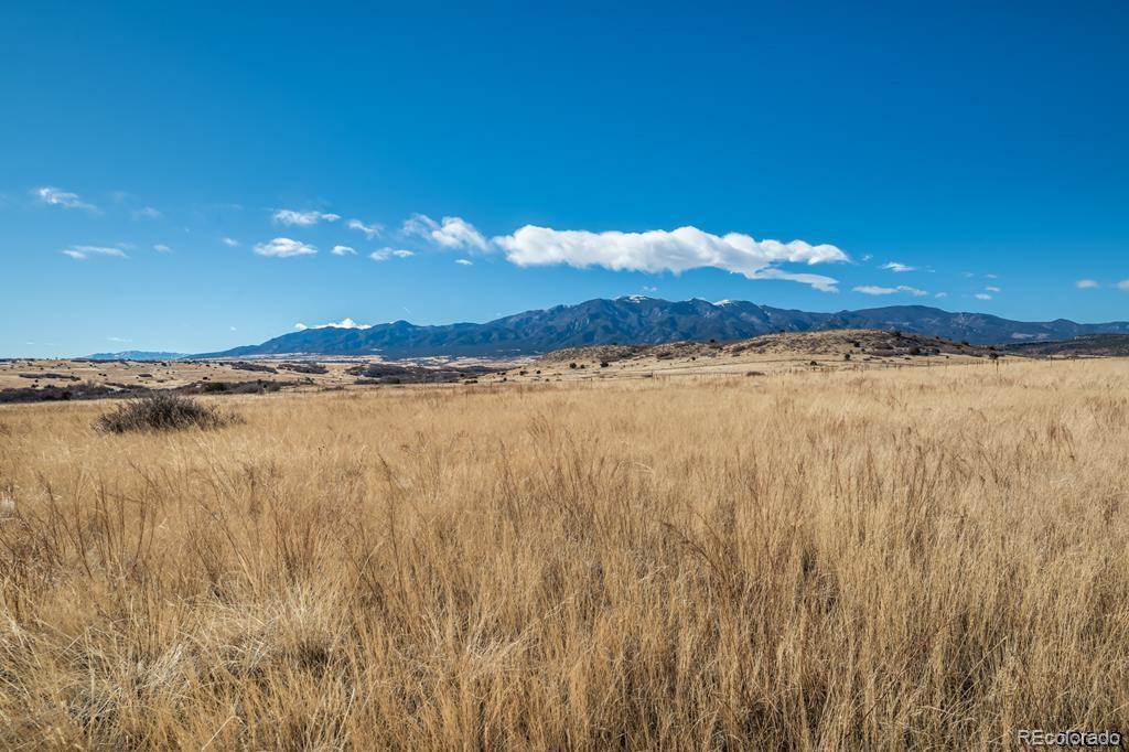 729 Wilma Place Rye, CO 81069 - Photo 1 of 8