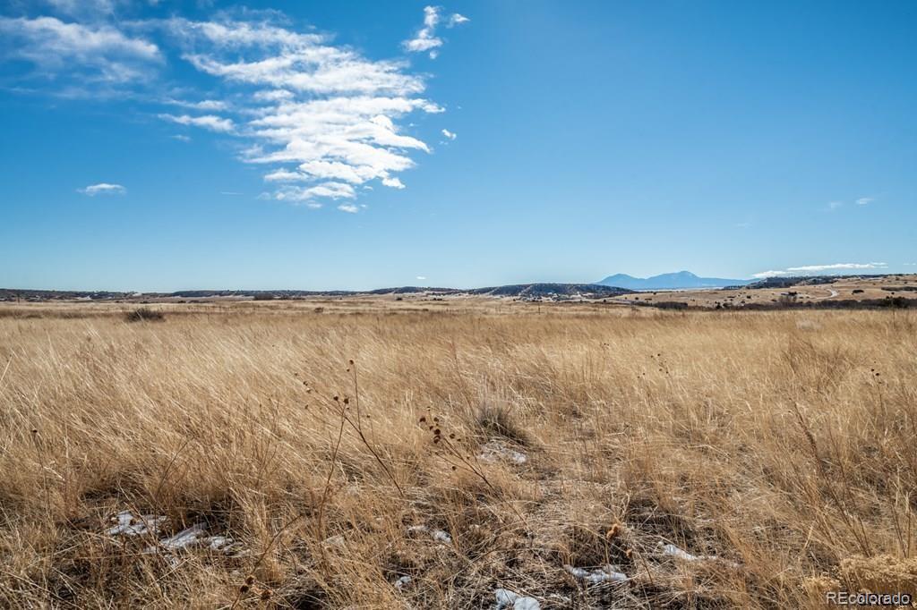 729 Wilma Place Rye, CO 81069 - Photo 3 of 8