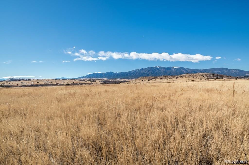 729 Wilma Place Rye, CO 81069 - Photo 4 of 8