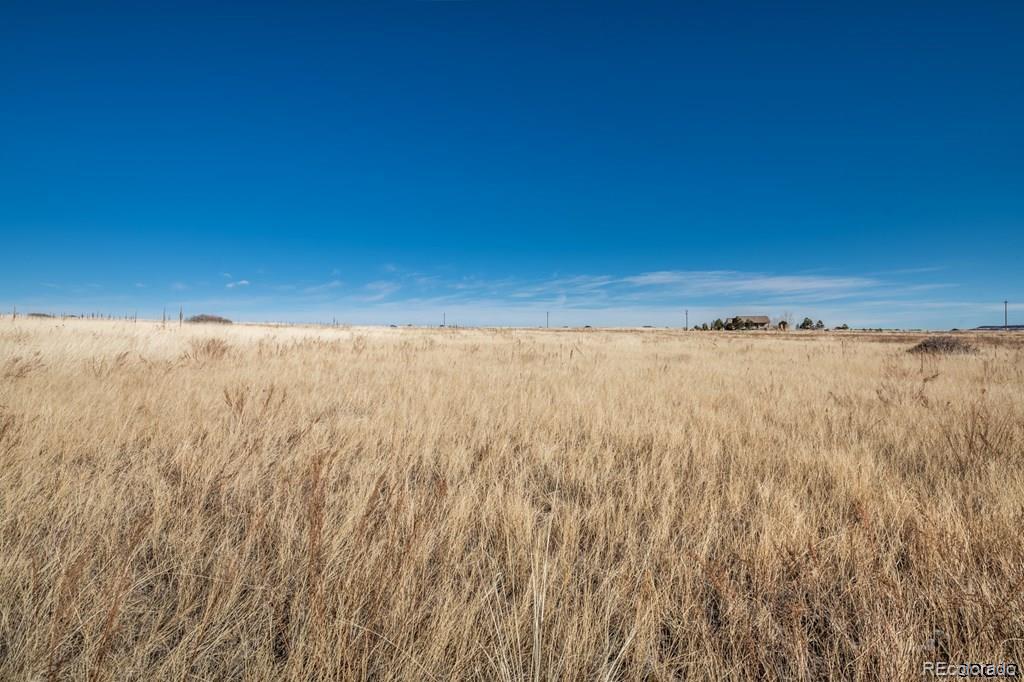 729 Wilma Place Rye, CO 81069 - Photo 5 of 8