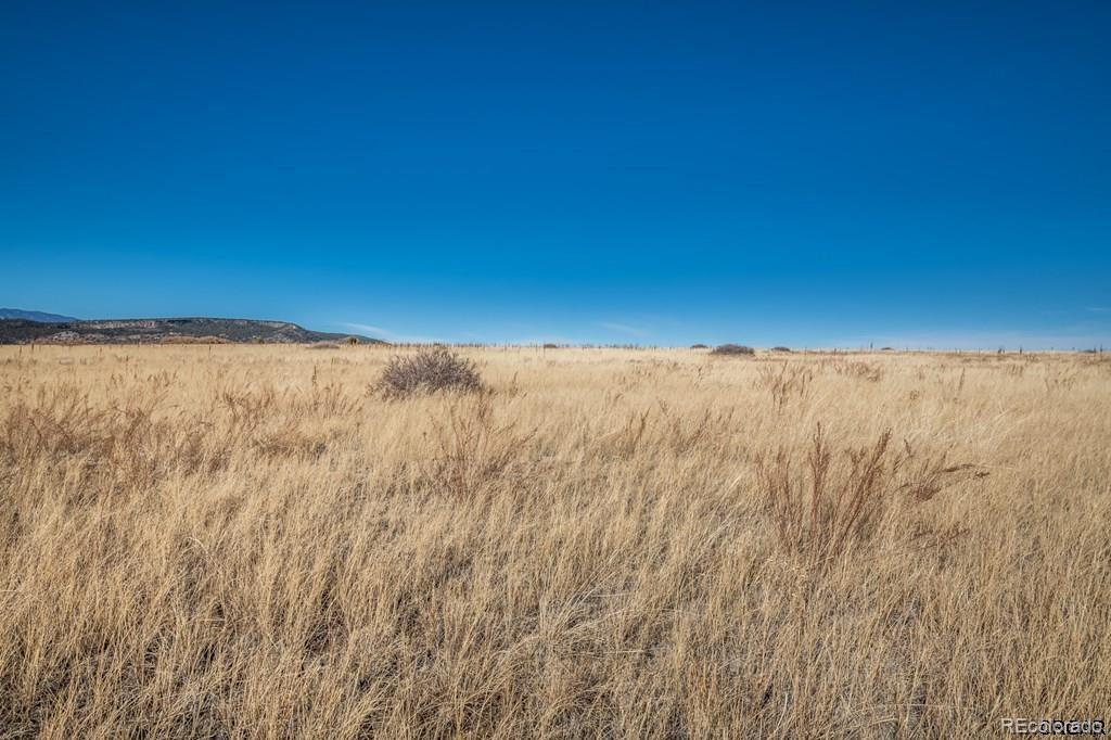 729 Wilma Place Rye, CO 81069 - Photo 6 of 8