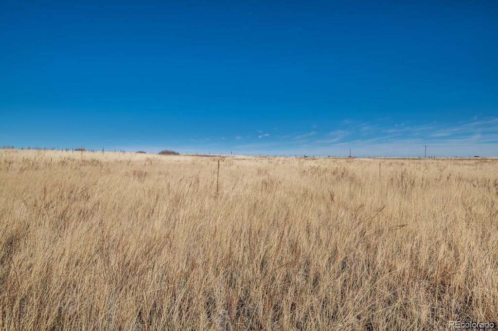 729 Wilma Place Rye, CO 81069 - Photo 7 of 8