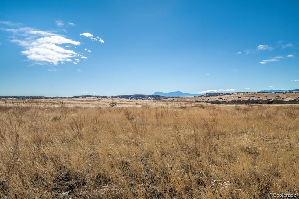 729 Wilma Place Rye, CO 81069 - Photo 8 of 8
