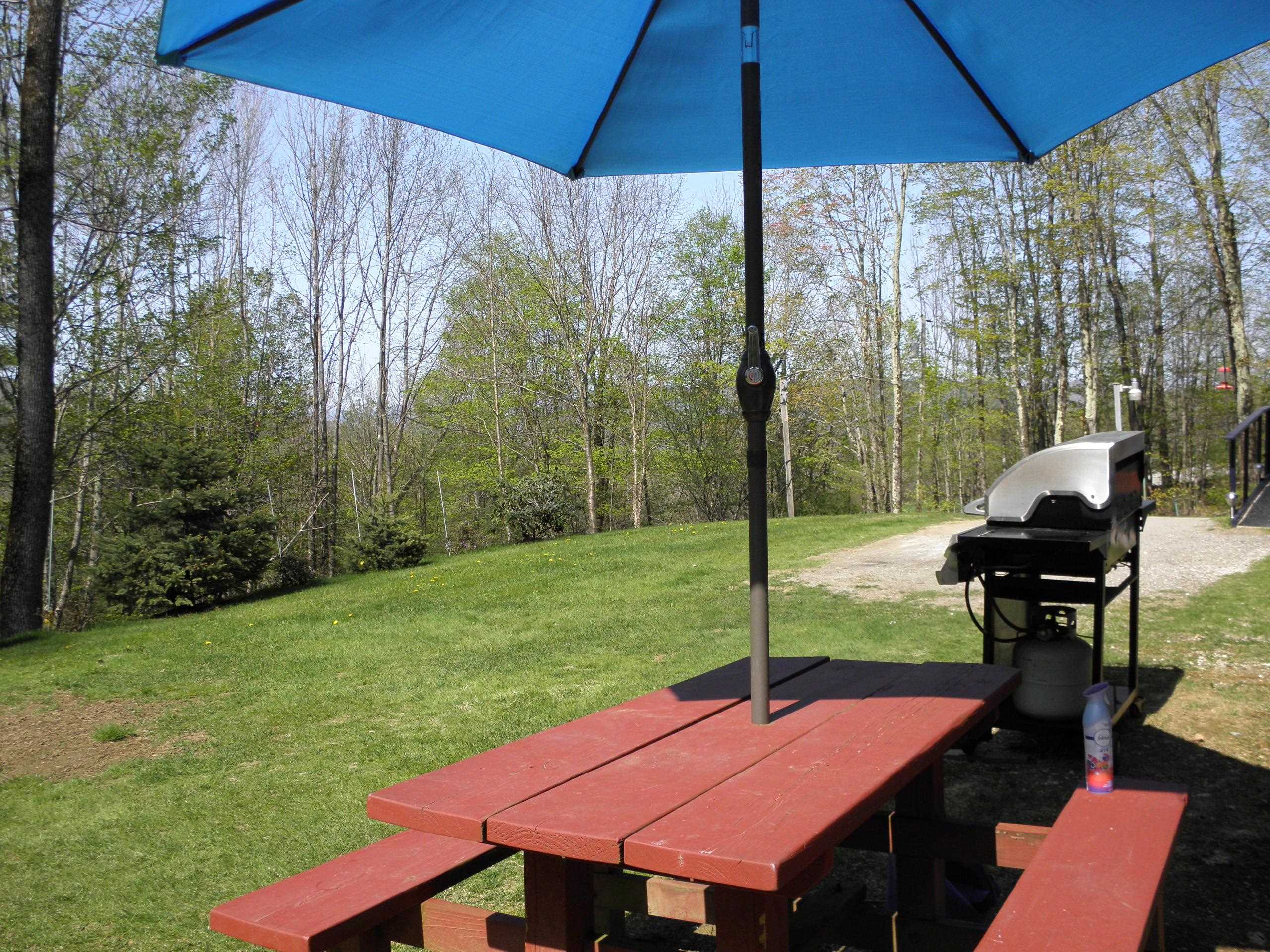 1180 Edmunds Road Danby, VT 05739 - Photo 1 of 39 Gallery Image 1