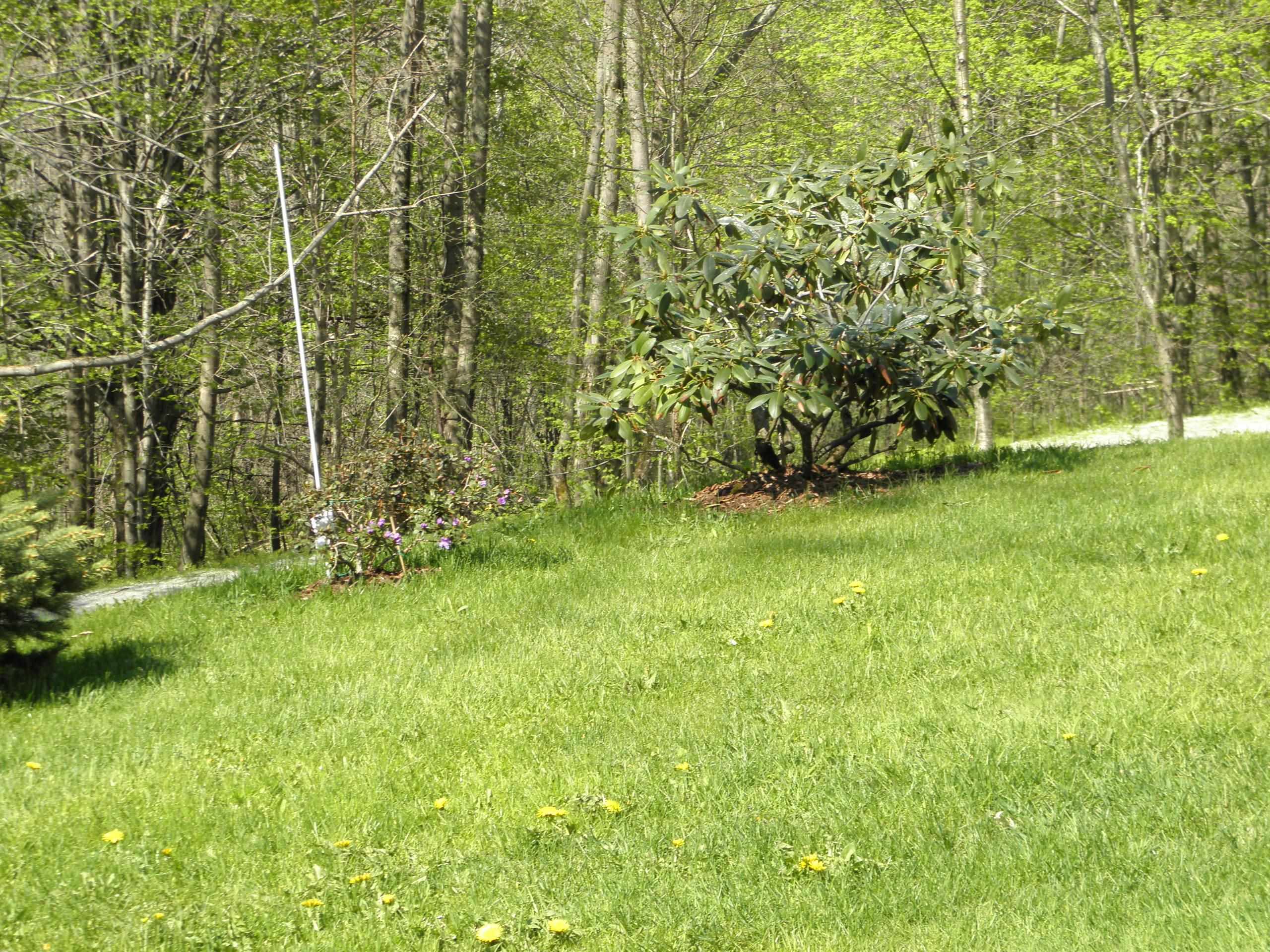1180 Edmunds Road Danby, VT 05739 - Photo 14 of 39 Gallery Image 14