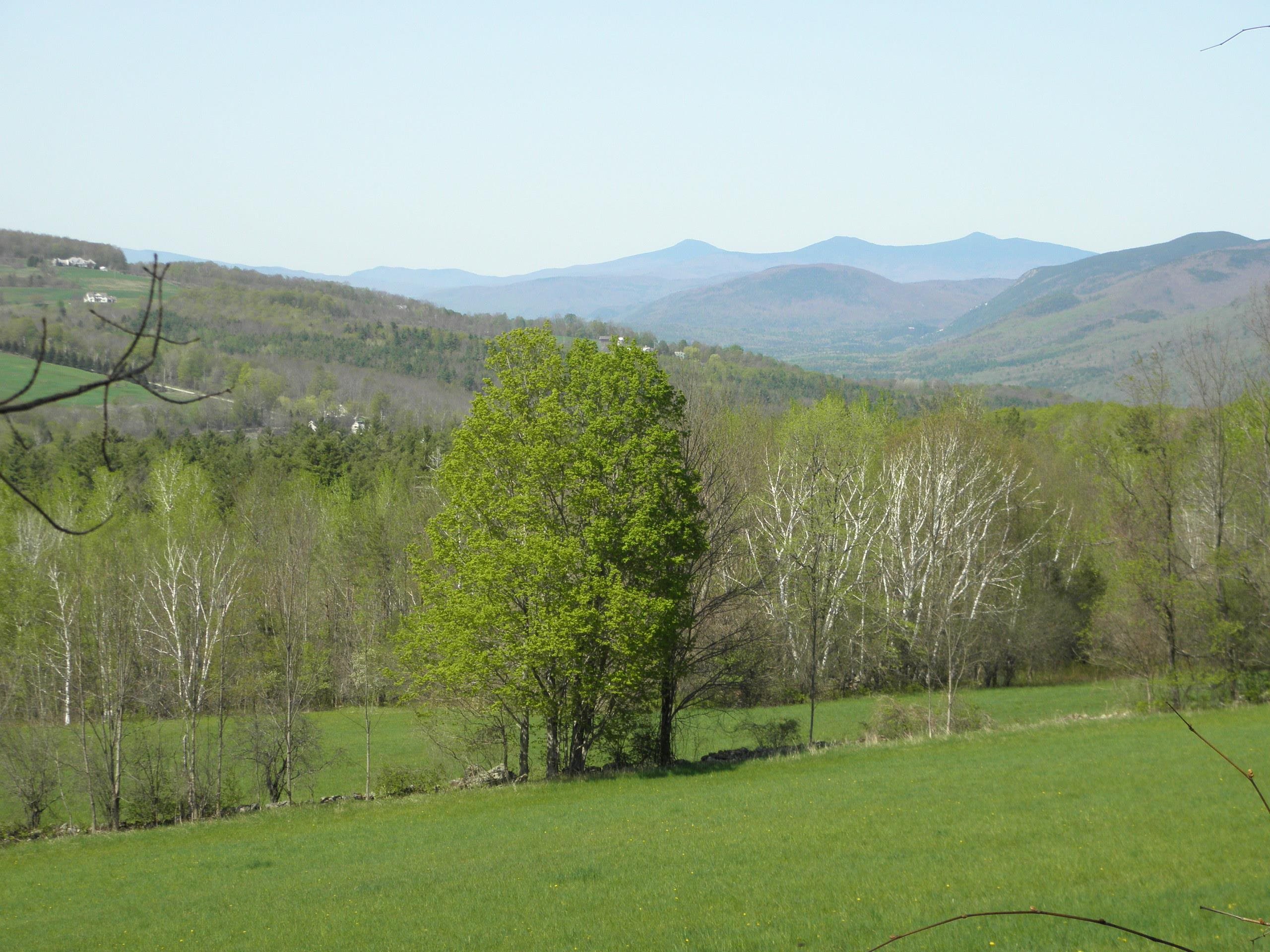 1180 Edmunds Road Danby, VT 05739 - Photo 16 of 39 Gallery Image 16