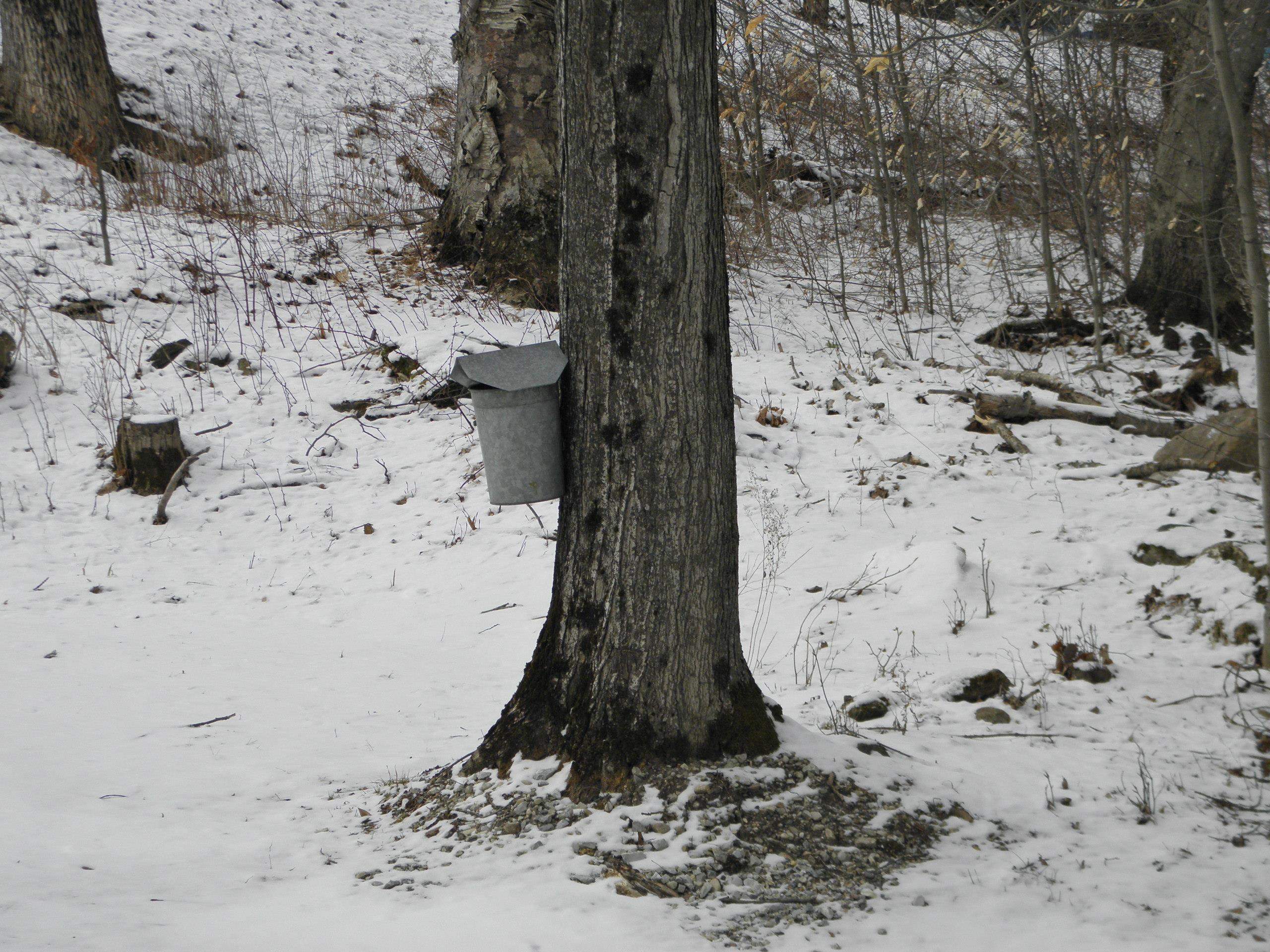 1180 Edmunds Road Danby, VT 05739 - Photo 20 of 39 Gallery Image 20