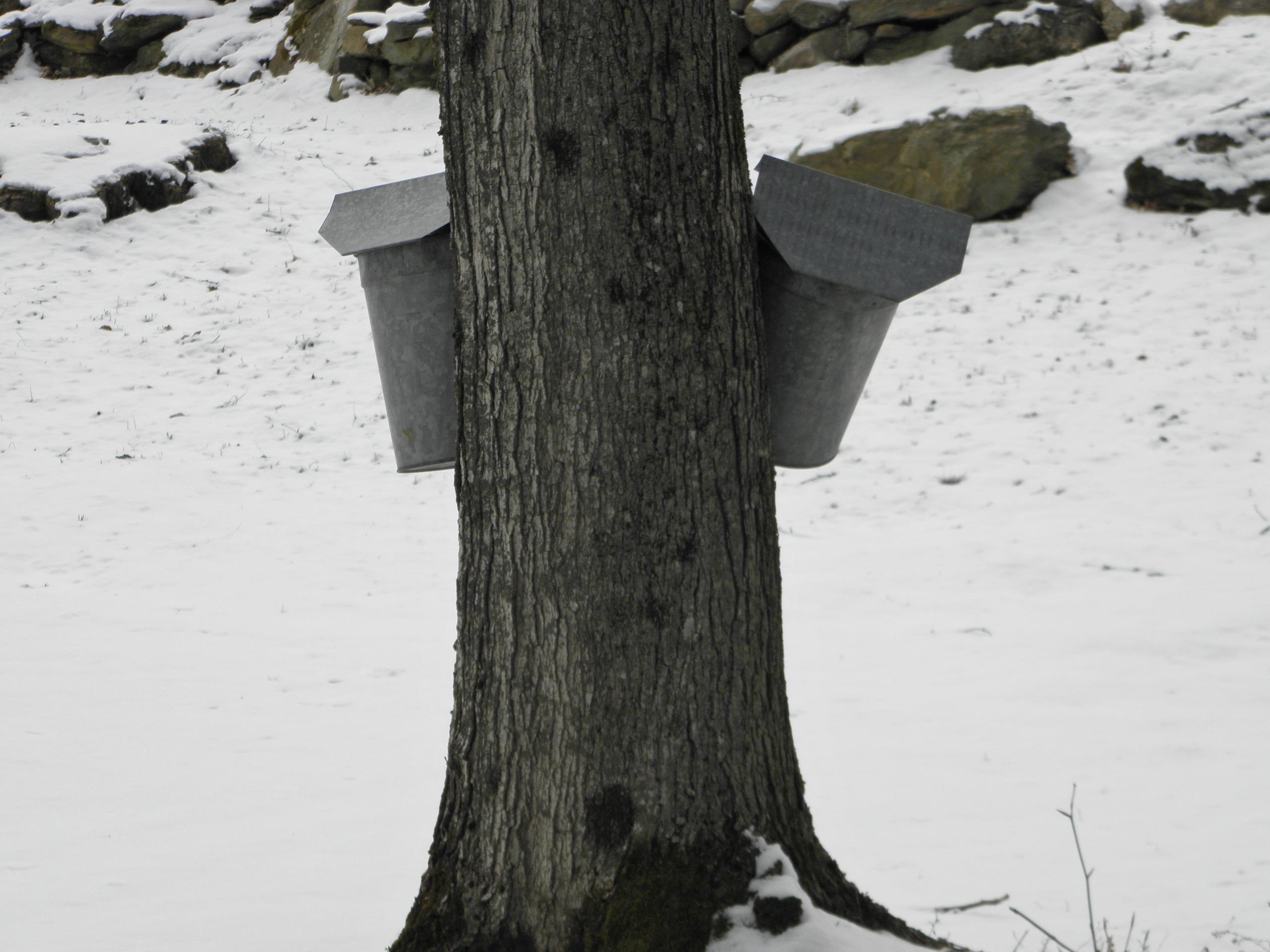 1180 Edmunds Road Danby, VT 05739 - Photo 21 of 39 Gallery Image 21