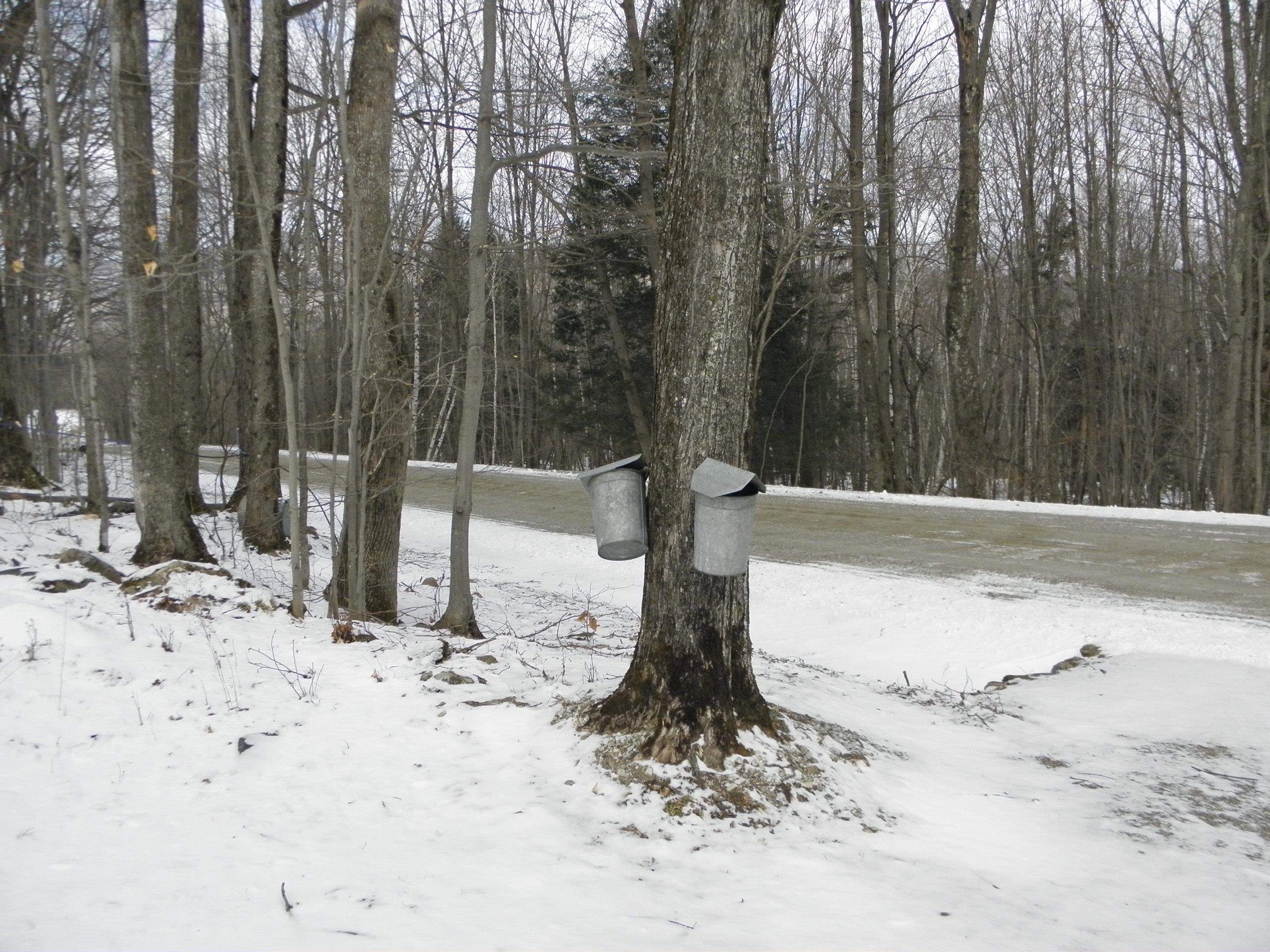 1180 Edmunds Road Danby, VT 05739 - Photo 22 of 39 Gallery Image 22