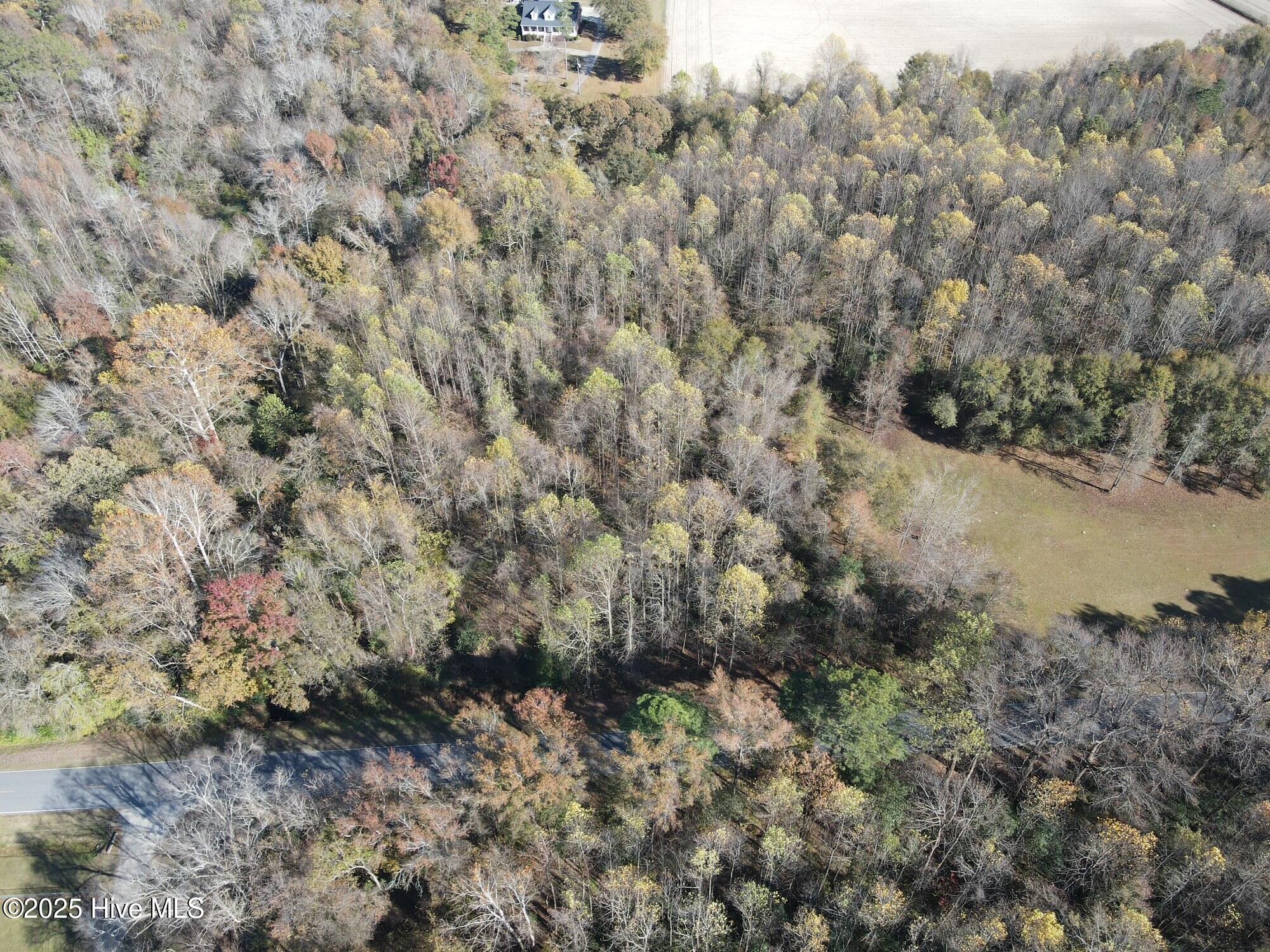 Lot 1 Alton Phillips Road Kinston, NC 28504 - Photo 2 of 6 Looking east