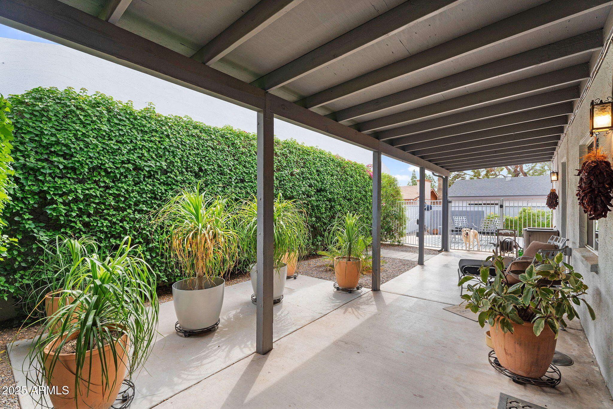 1515 West Palmaire Avenue Phoenix, AZ 85021 - Photo 5 of 23 a view of a porch with plants and chairs