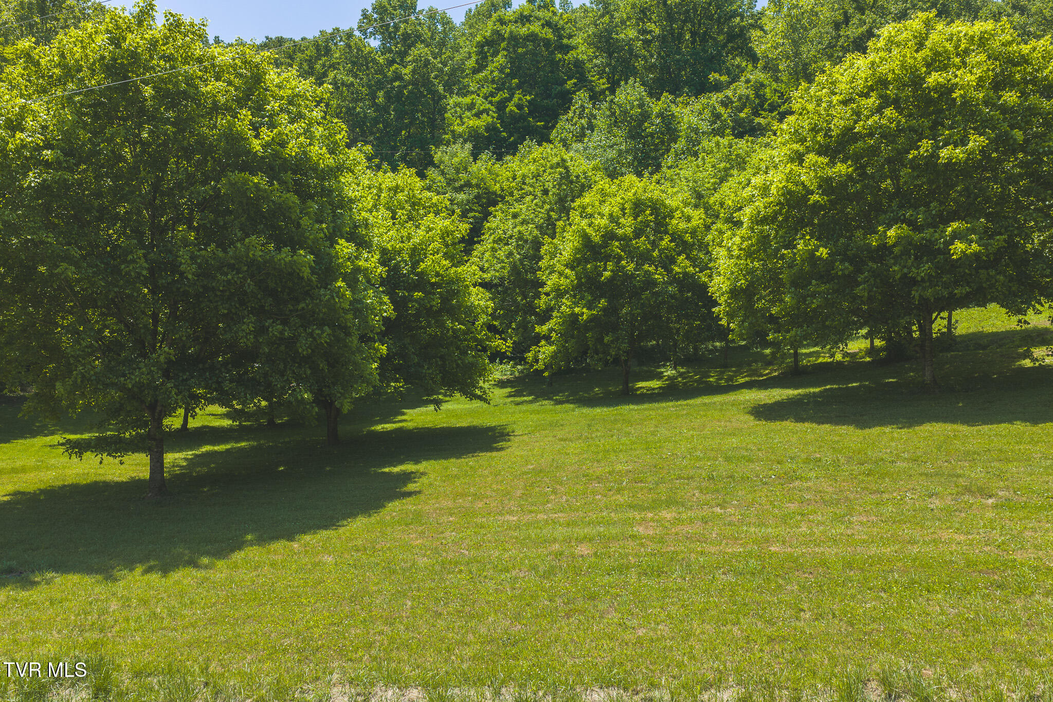 622 Earls Hollow Road Speedwell, TN 37870 - Photo 4 of 50 DJI_20260513132103_0018_D