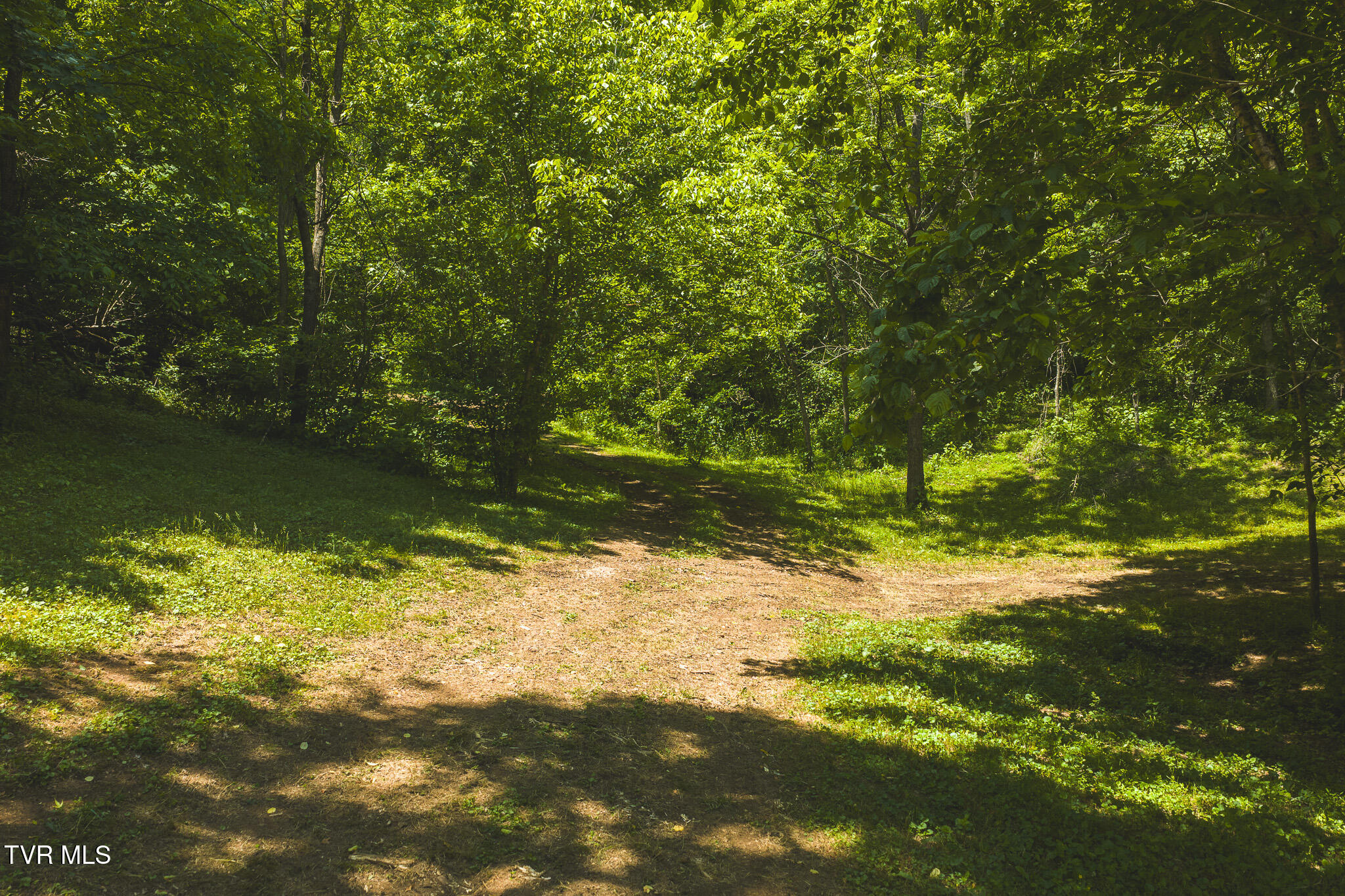 622 Earls Hollow Road Speedwell, TN 37870 - Photo 8 of 50 DJI_20260513133709_0040_D