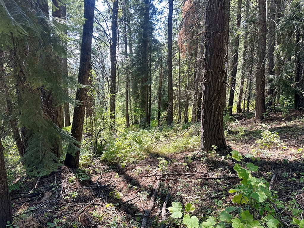 37 Arling Trail, Unit 5A74 Cascade, ID 83611 - Photo 2 of 11 Close to Tamarack Resort