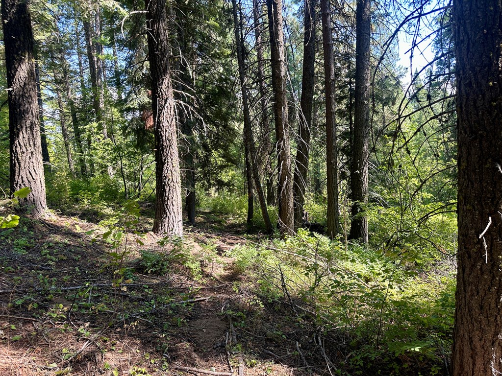 37 Arling Trail, Unit 5A74 Cascade, ID 83611 - Photo 3 of 11 Enjoy the Serinity