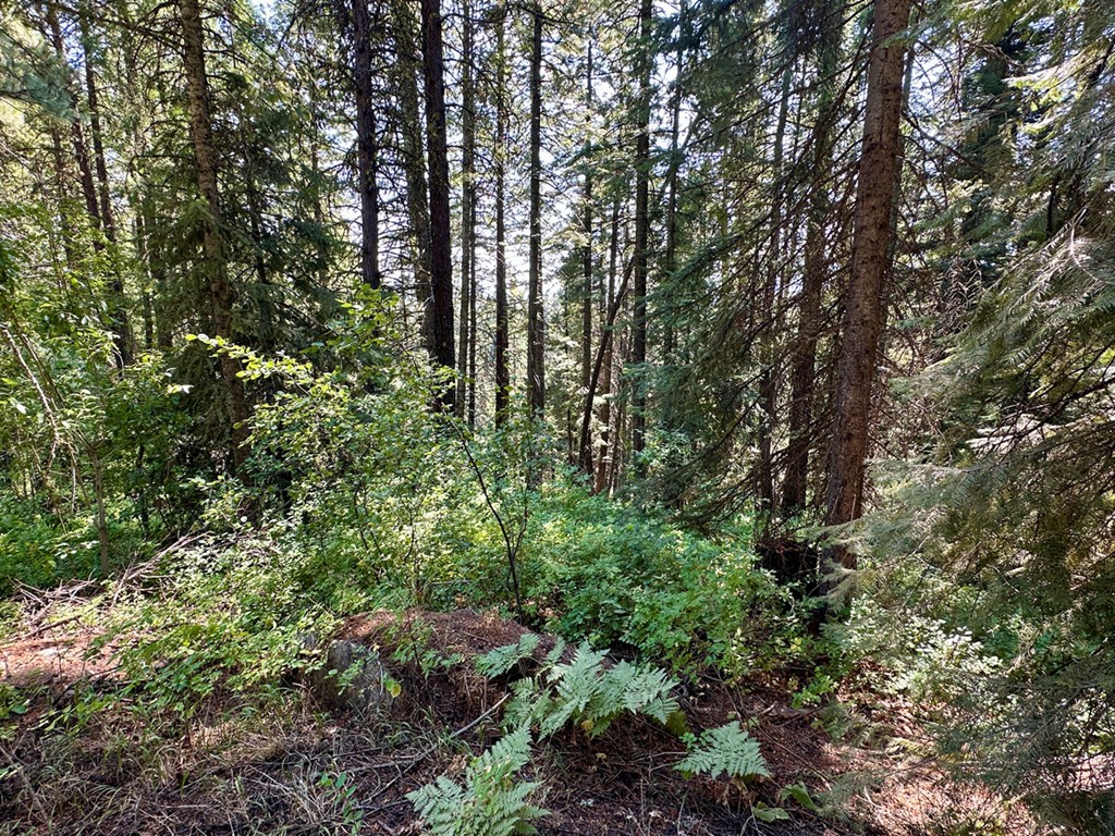 37 Arling Trail, Unit 5A74 Cascade, ID 83611 - Photo 4 of 11 Towering Mature Trees