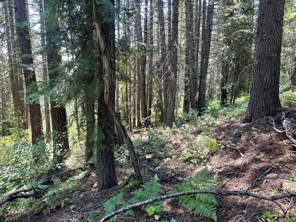 37 Arling Trail, Unit 5A74 Cascade, ID 83611 - Photo 6 of 11 Build or Camp