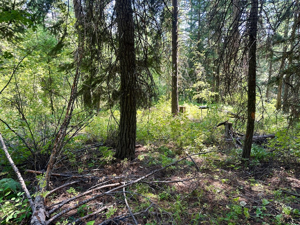 37 Arling Trail, Unit 5A74 Cascade, ID 83611 - Photo 7 of 11 No HOA's