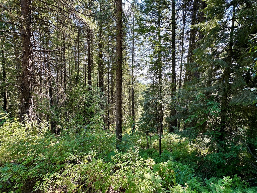 37 Arling Trail, Unit 5A74 Cascade, ID 83611 - Photo 8 of 11 Perfect Blank Canvas