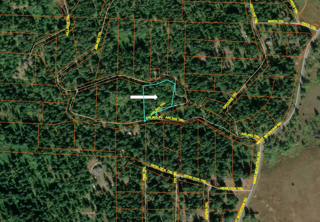 37 Arling Trail, Unit 5A74 Cascade, ID 83611 - Photo 10 of 11 County Map