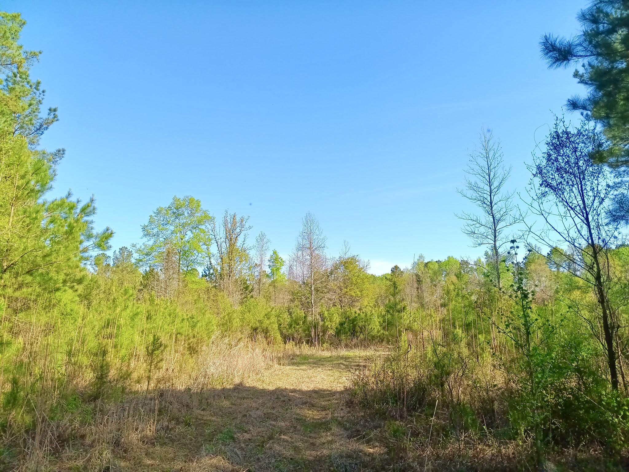 521 West Deer Road Timmonsville, SC 29161 - Photo 2 of 12