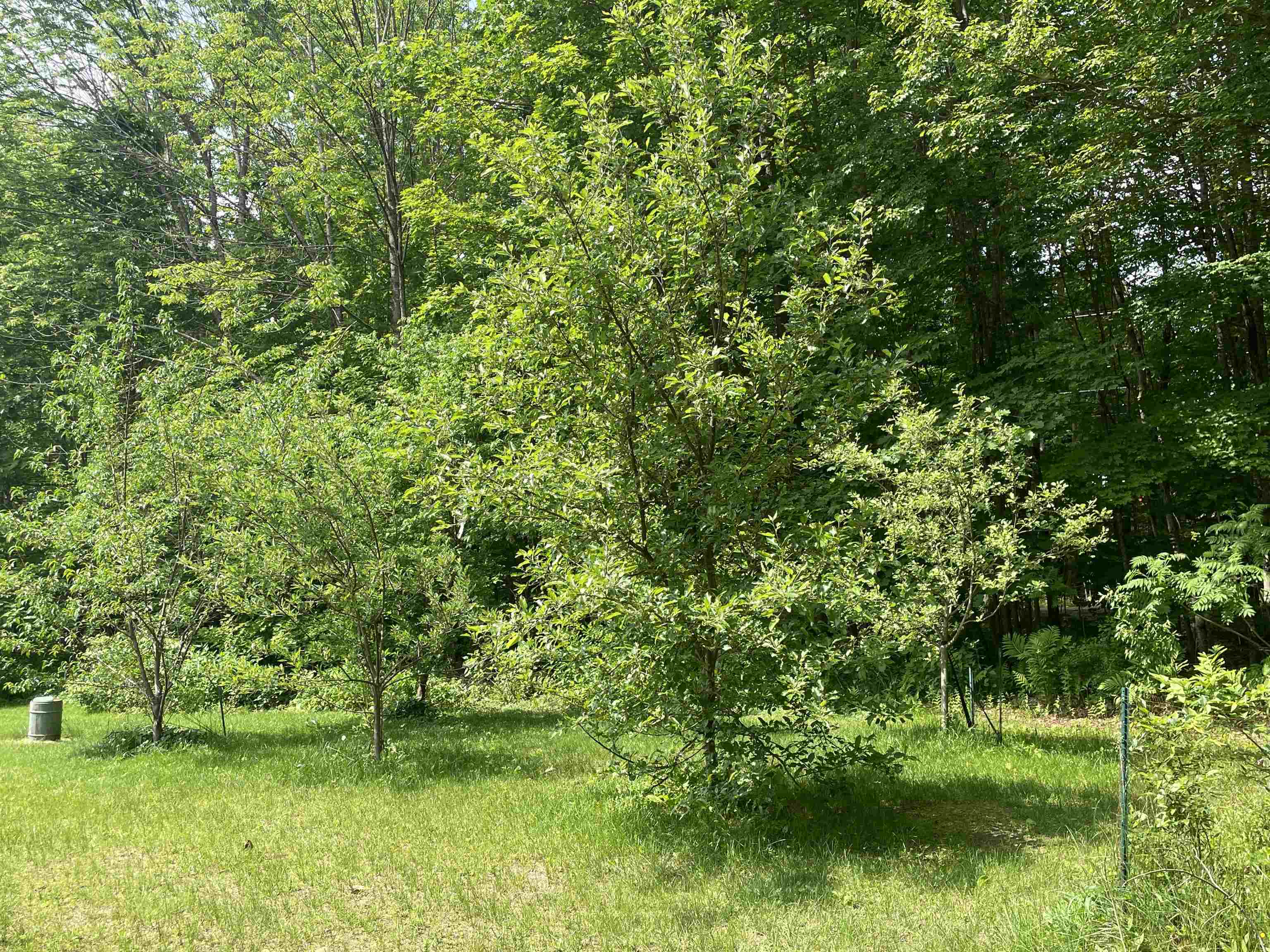 3 Mountain Road Sanbornton, NH 03269 - Photo 14 of 17