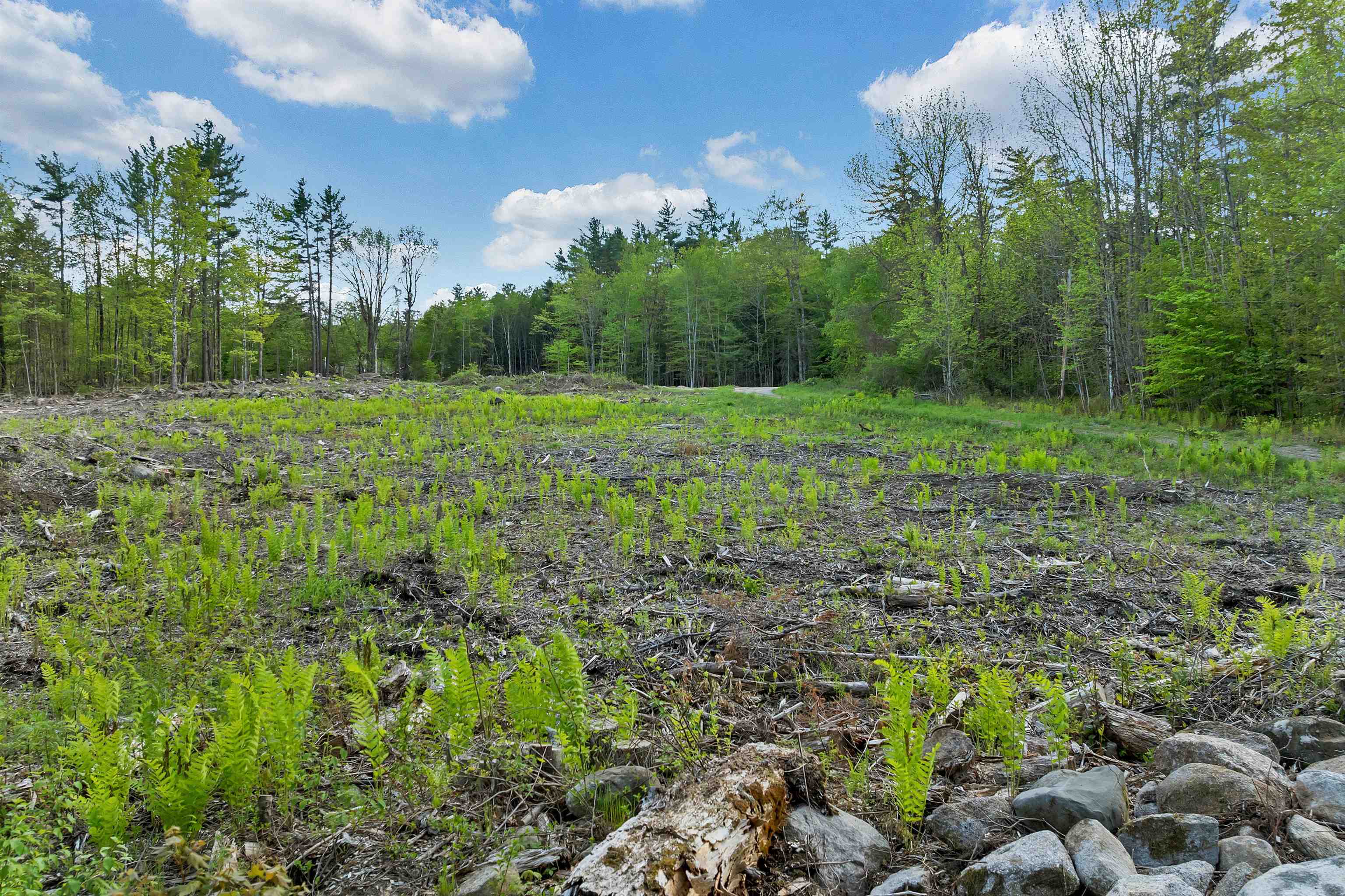 73 Ellsworth Hill Road Campton, NH 03223 - Photo 16 of 60