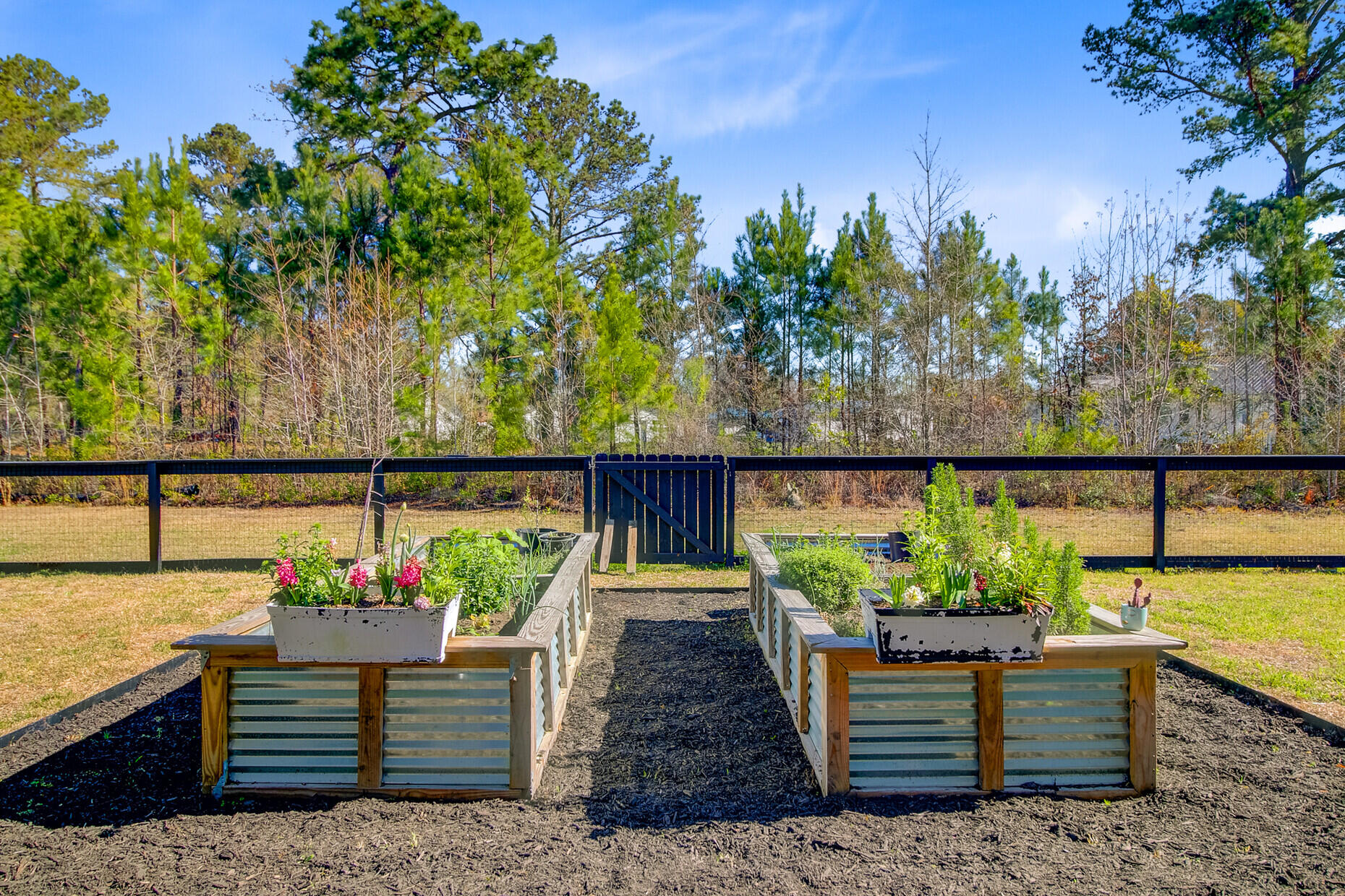 614 Cummings Chapel Road Ridgeville, SC 29472 - Photo 57 of 68 58. Garden boxes for the chef to grow t