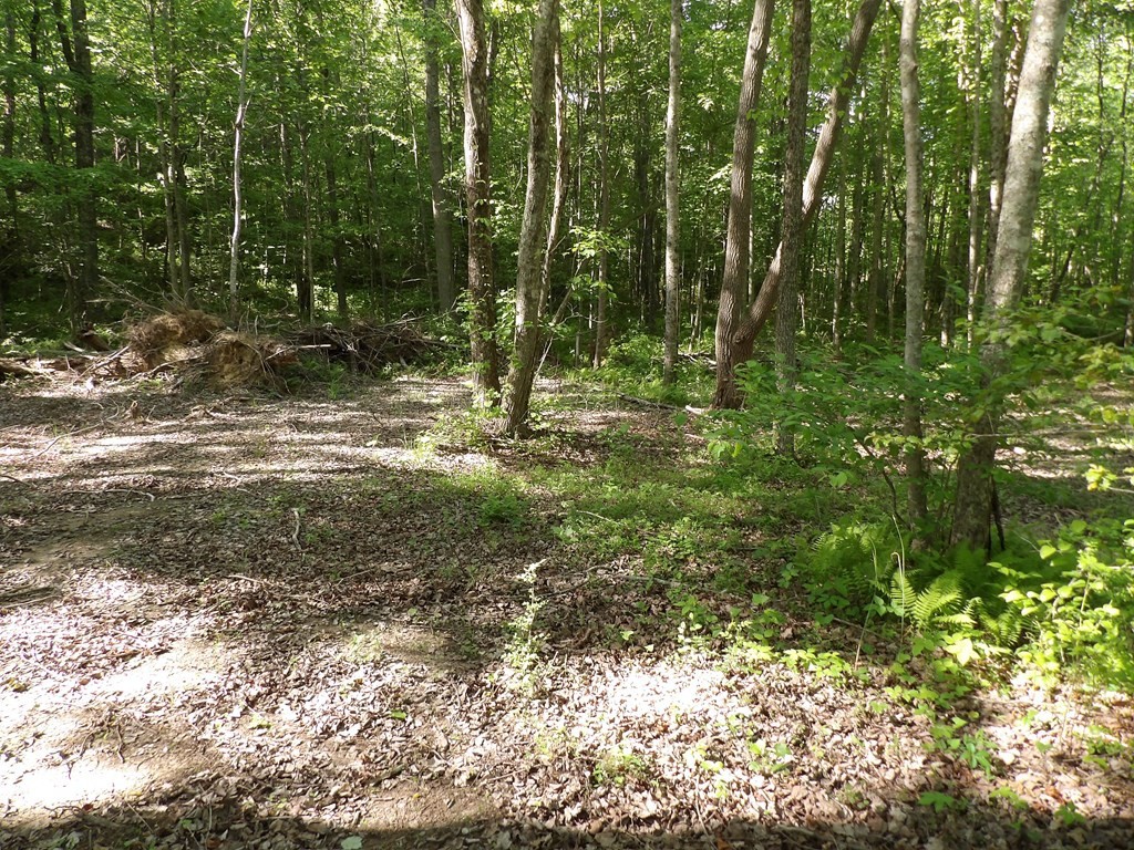 1030 Big Neck Road Grandview, TN 37337 - Photo 38 of 54 Gallery Image 38