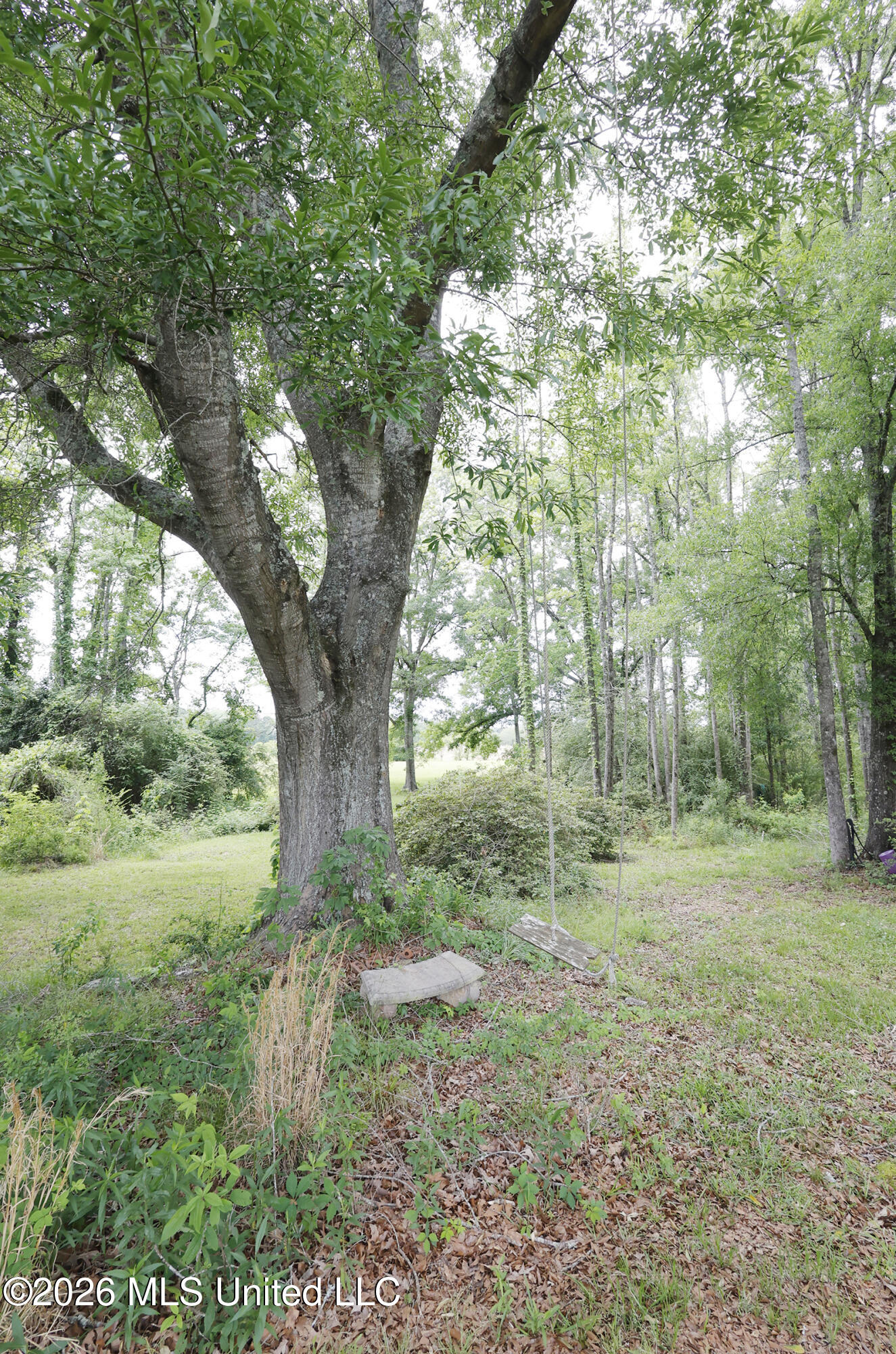 1024 Walker Lane Summit, MS 39666 - Photo 12 of 39 _JCS0039