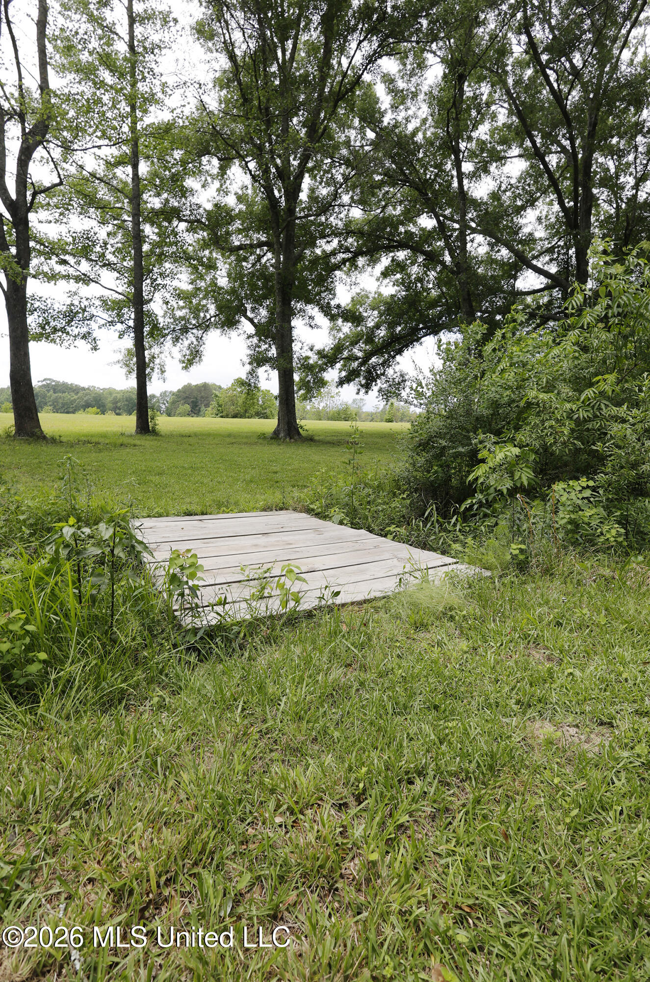 1024 Walker Lane Summit, MS 39666 - Photo 13 of 39 _JCS0041